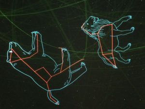 Constellations in the night sky at We The Curious Planetarium