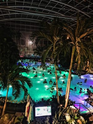 The Palm at Therme Bucuresti