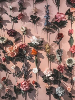 Polaberry Flower Wall