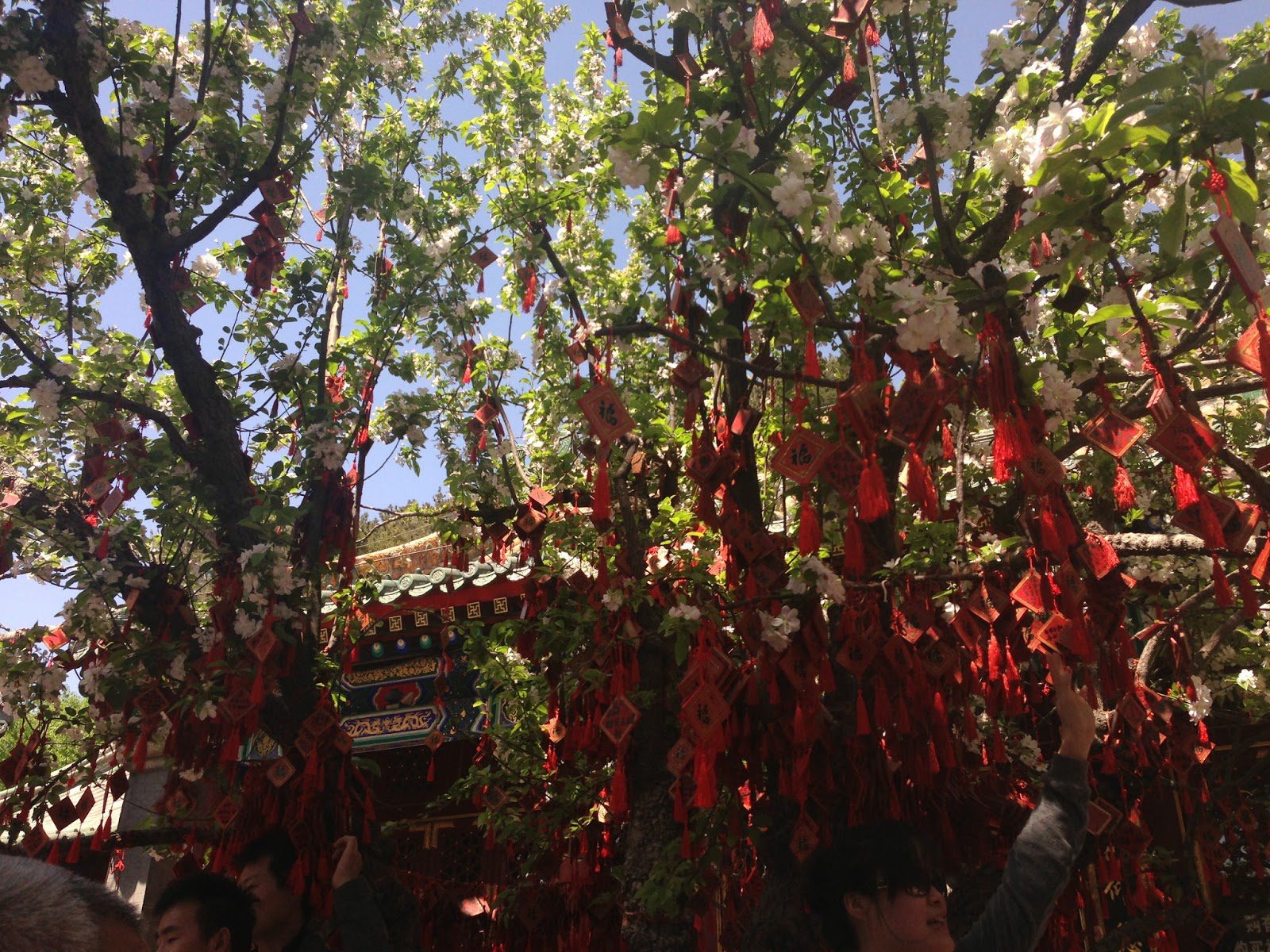 Beihai Park, Beijing, China, CRCC Asia