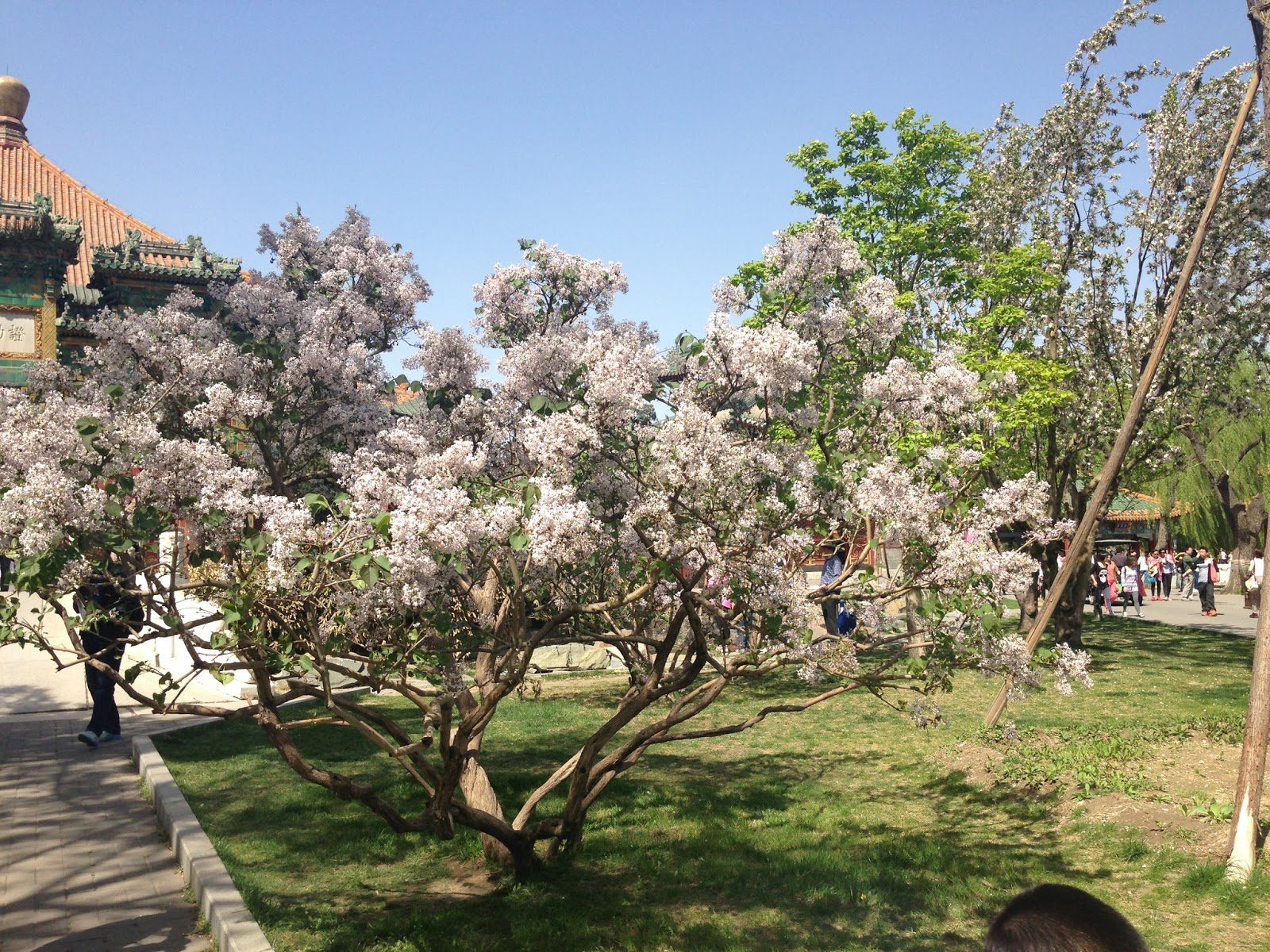 Beihai Park, Beijing, China, CRCC Asia