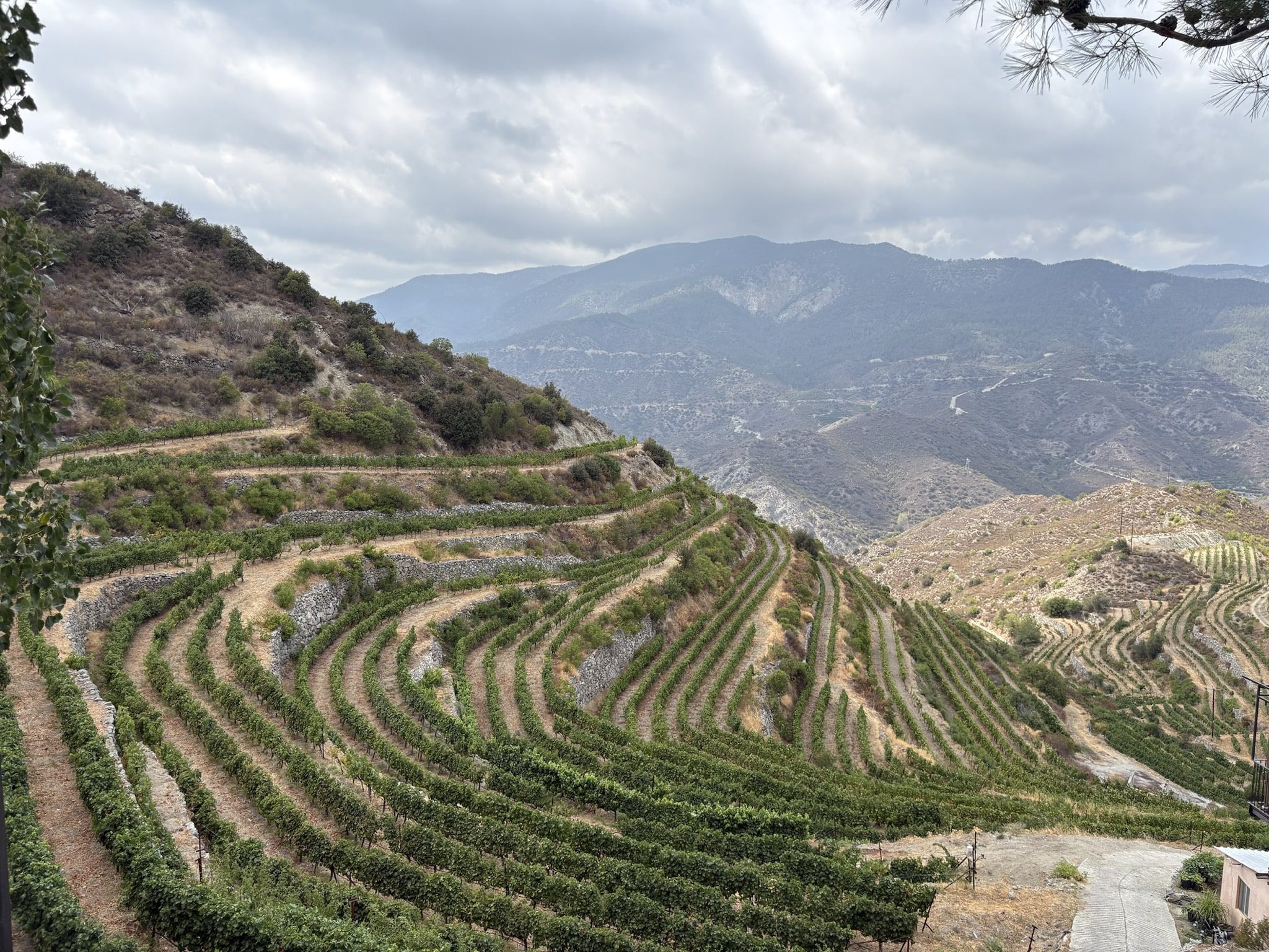 Troodos Mountains Cyprus terraced landscape and valley views