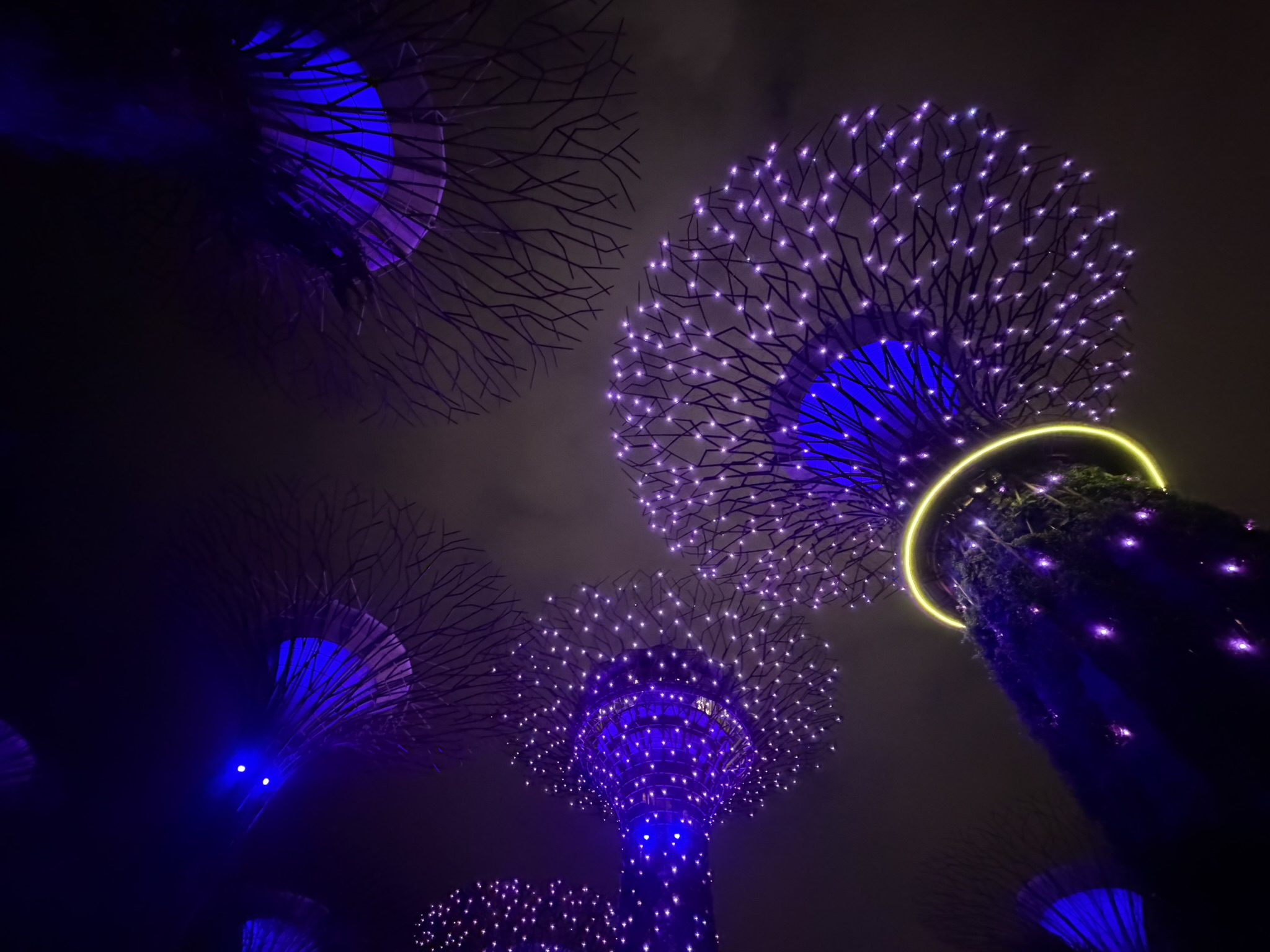 Gardens by the Bay, Singapore