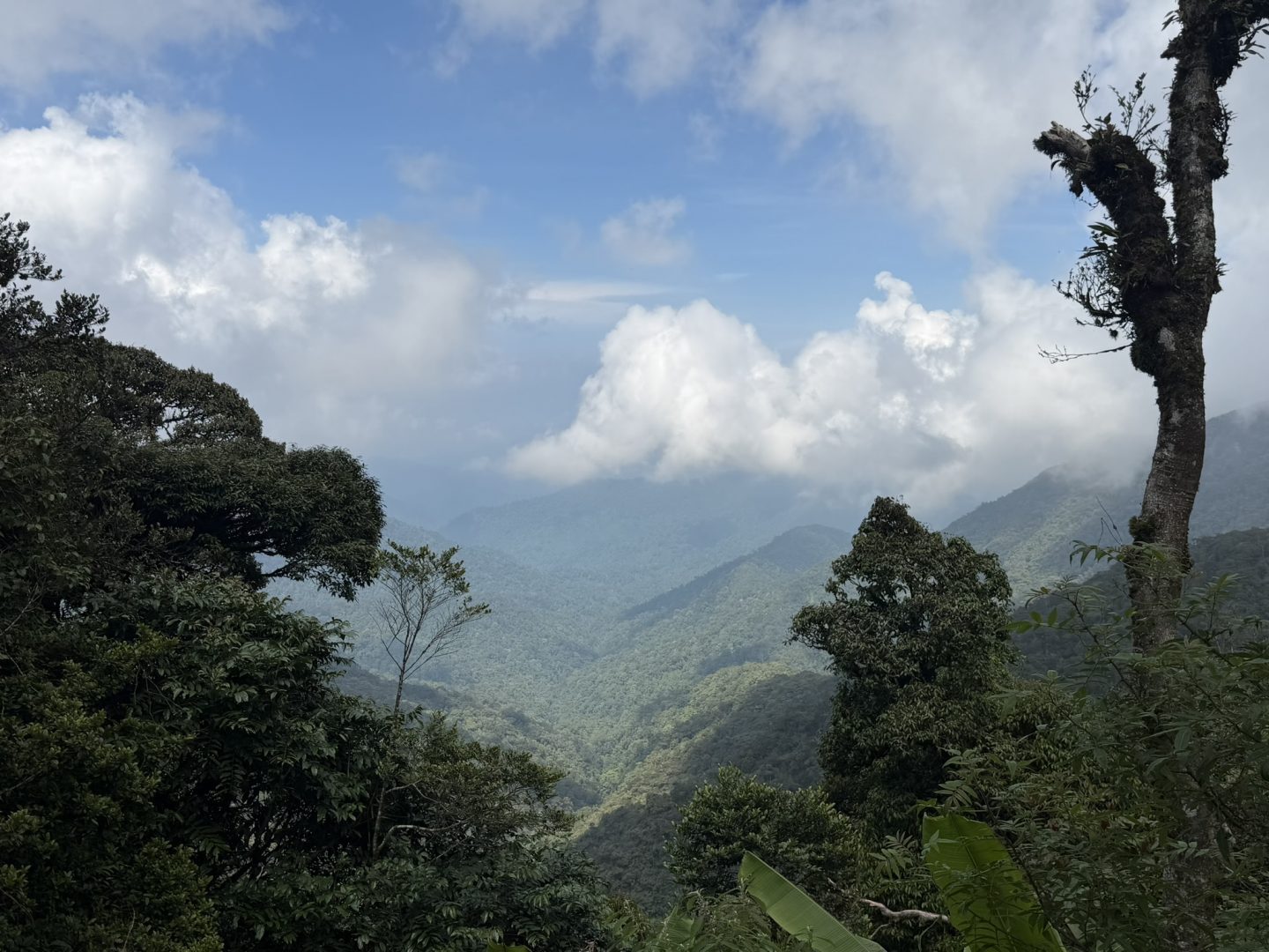 Cameron Highlands Malaysia