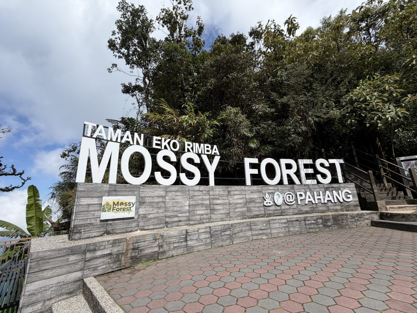 Mossy Forest Cameron Highlands Malaysia