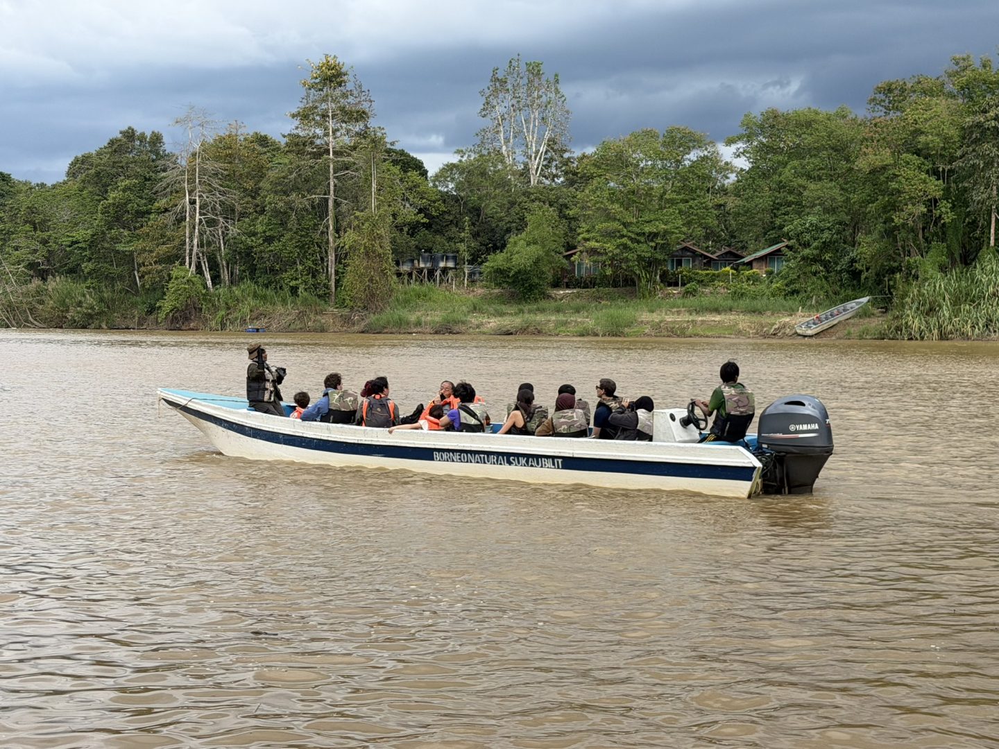 Boat cruise along the Kinabatangan River during a wildlife tour