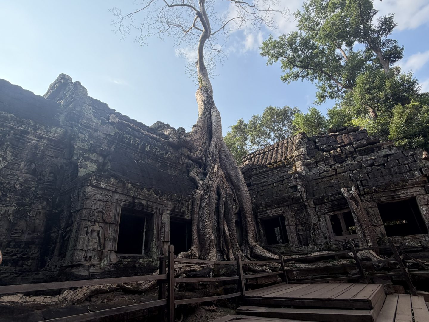 Tree roots over Ta Prohm temple in Angkor Archaeological Park