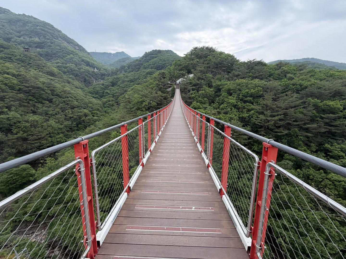 Mt Gamaksan Suspension Bridge surrounded by forest near the DMZ