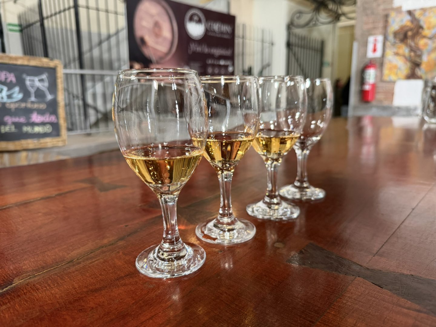 Wine tasting during a half-day winery tour in Maipú, Mendoza, Argentina