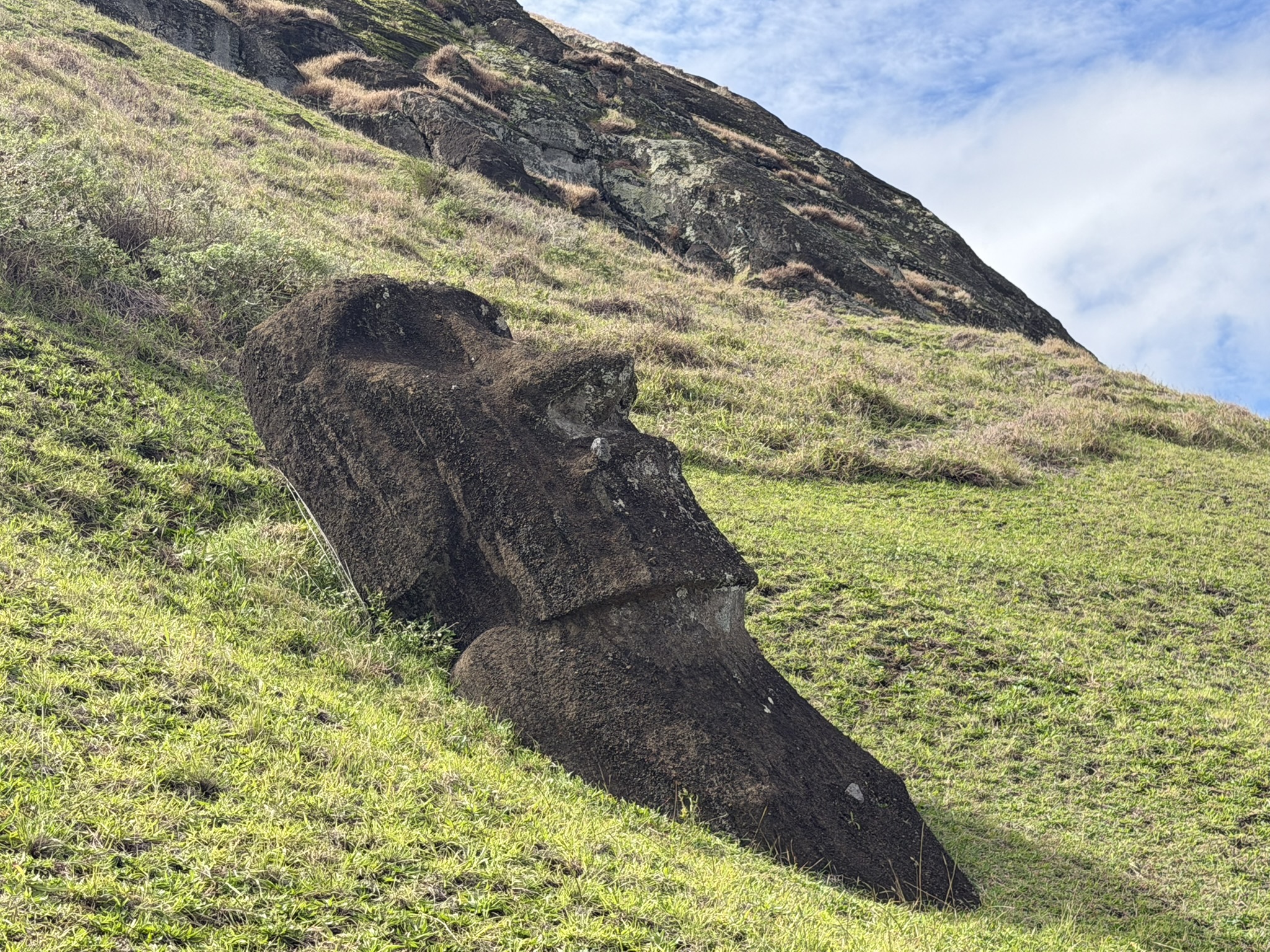Partially buried moai on the grassy slopes of Rano Raraku quarry, Easter Island