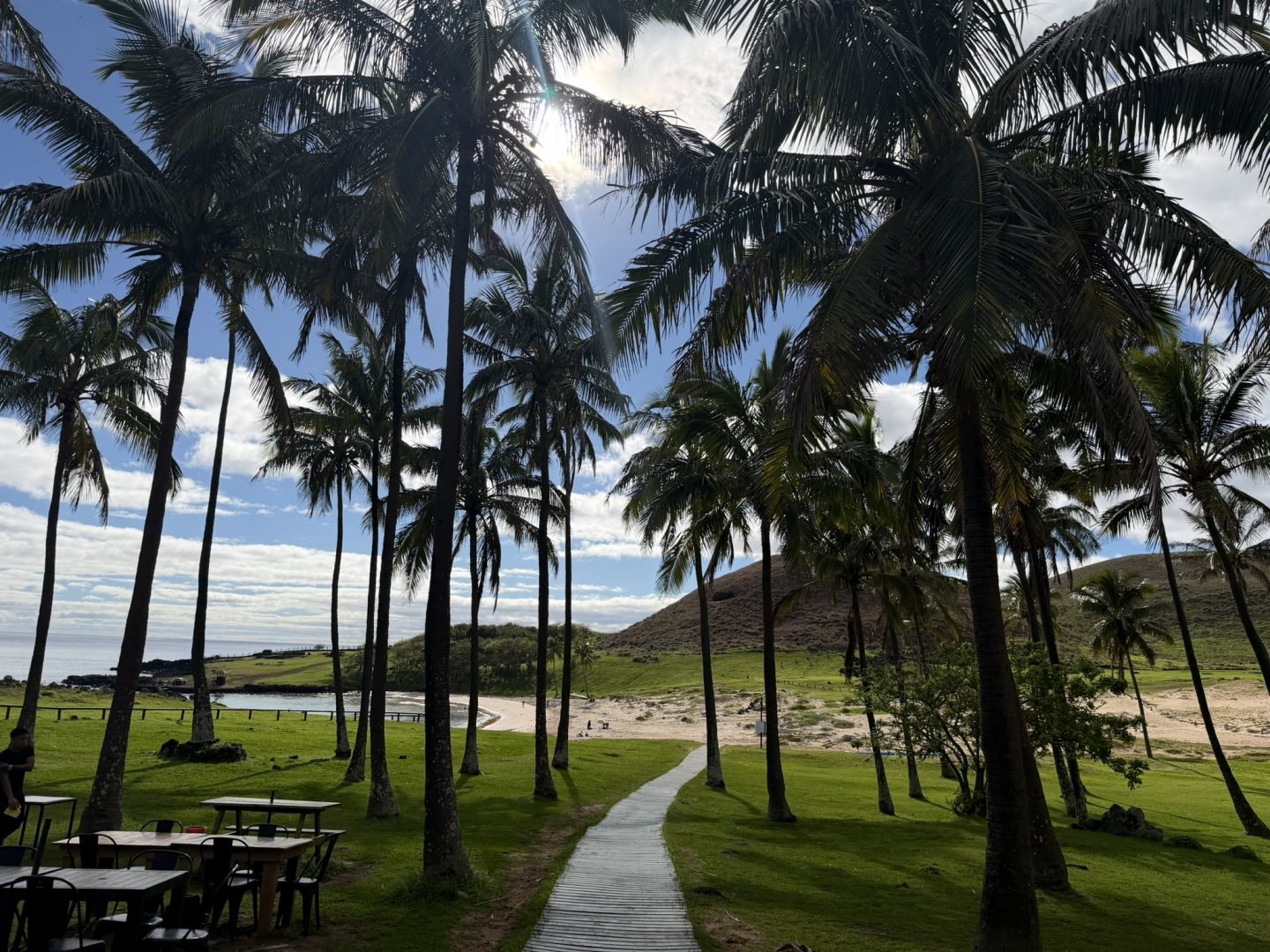 Palm trees and sandy beach at Anakena on Easter Island, Rapa Nui
